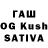 Галлюциногенные грибы Cubensis KREDO Inc.