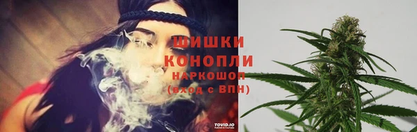 тгк Нефтекумск