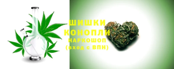 стаф Нея
