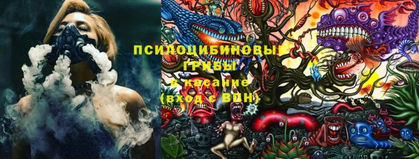 стаф Нея