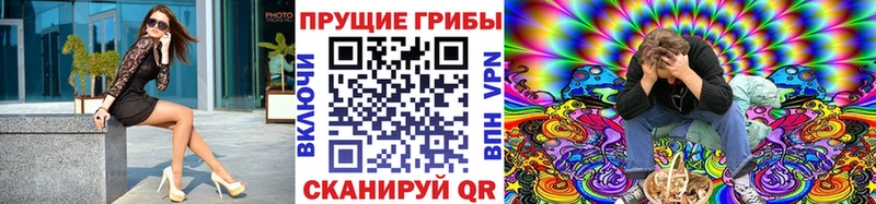 Галлюциногенные грибы Cubensis  Закаменск 
